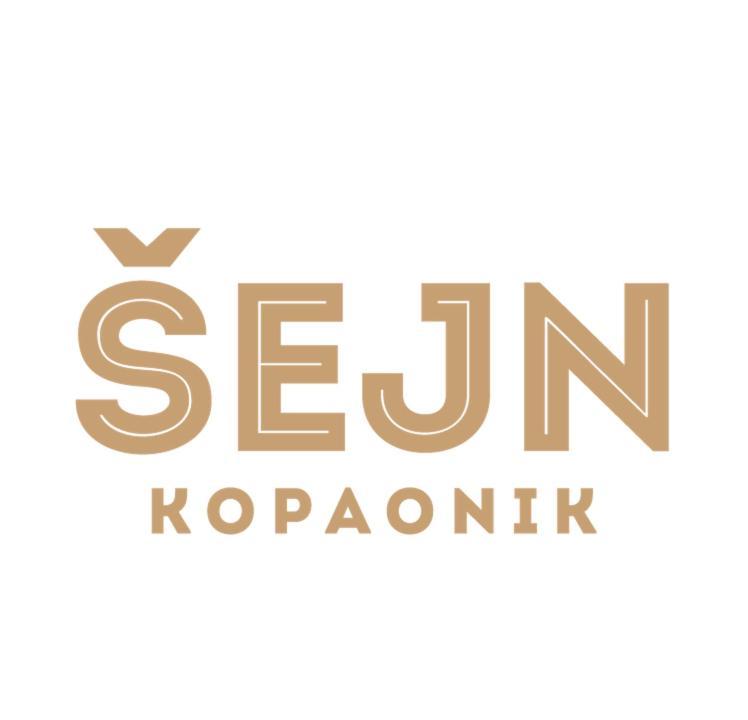 Guesthouse Sejn Kopaonik Exteriör bild
