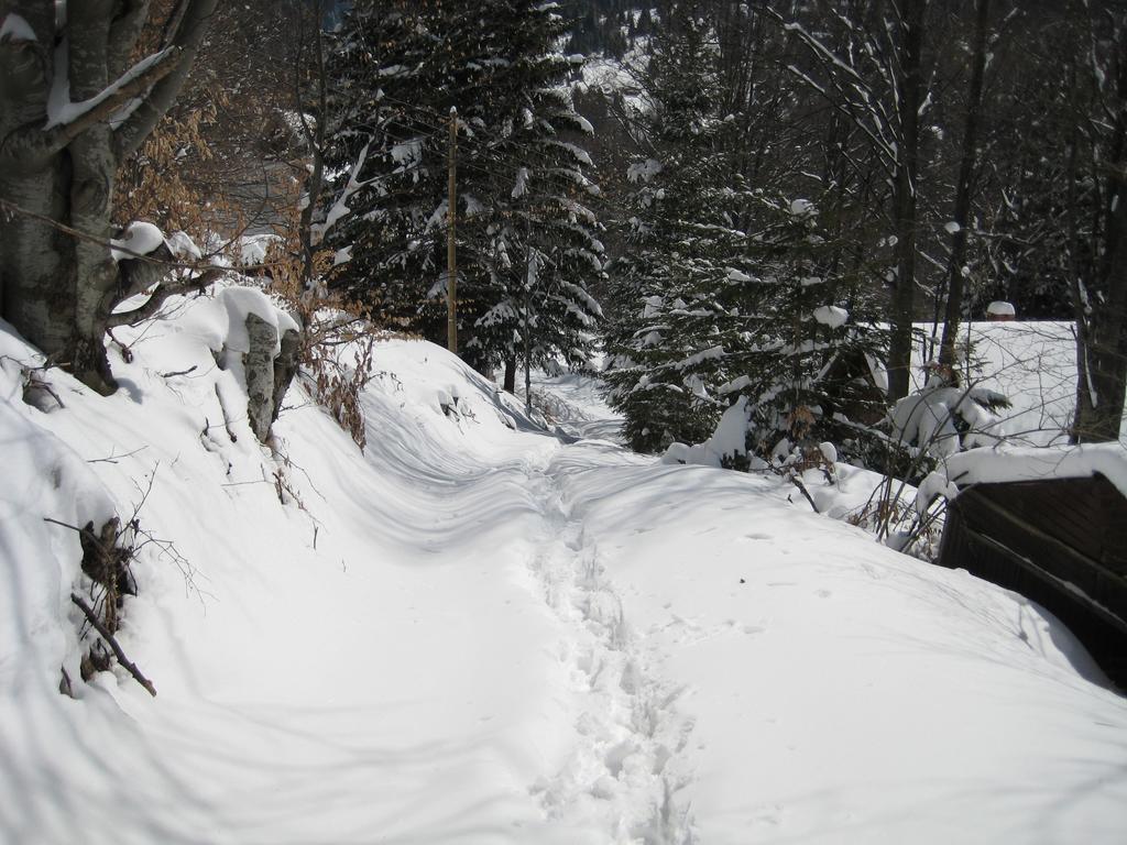 Guesthouse Sejn Kopaonik Exteriör bild