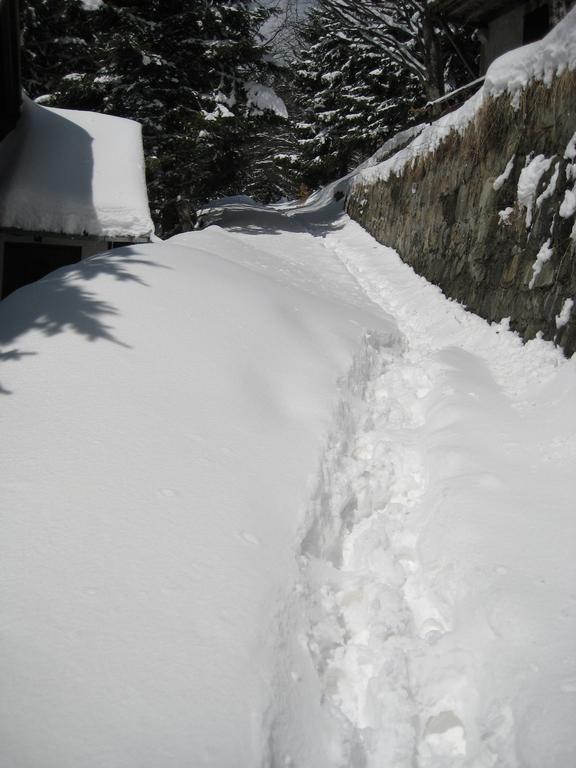 Guesthouse Sejn Kopaonik Exteriör bild