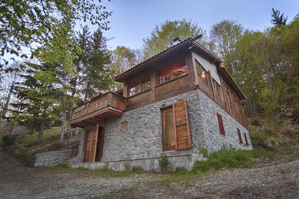 Guesthouse Sejn Kopaonik Exteriör bild