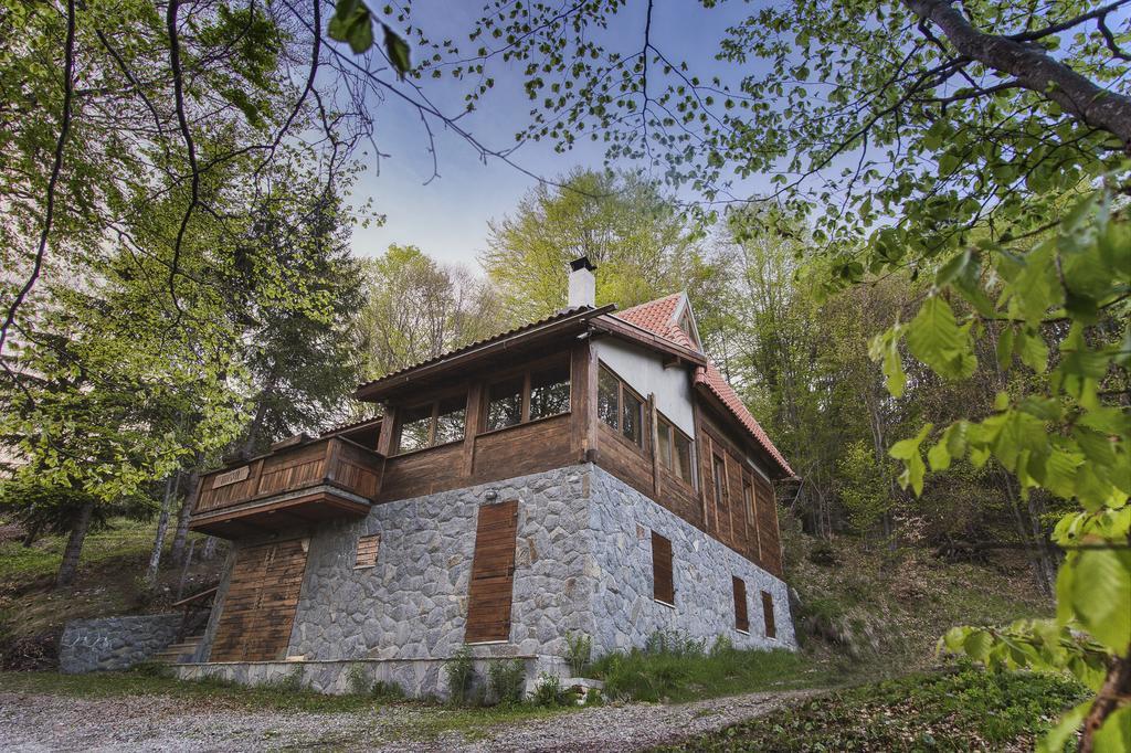 Guesthouse Sejn Kopaonik Exteriör bild