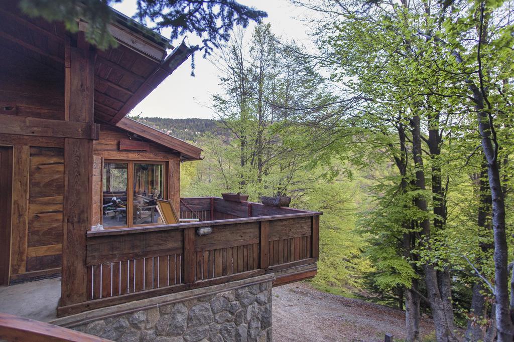 Guesthouse Sejn Kopaonik Rum bild